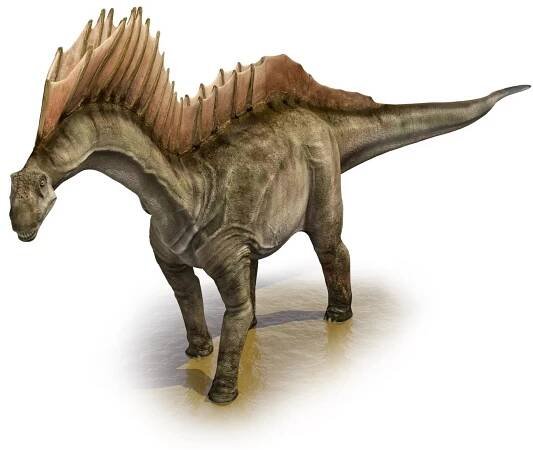 19 Amargasaurus Facts