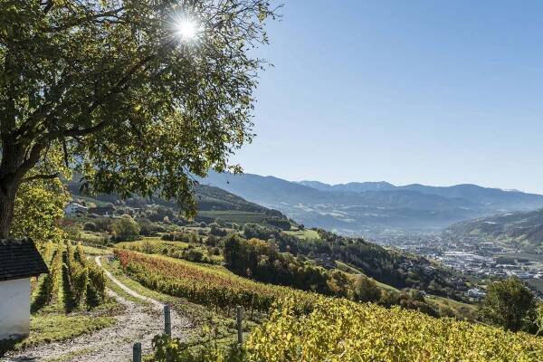 Aktivurlaub in Südtirol: Am Brunnen Apartments