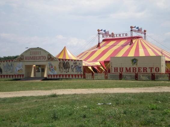 Oficiální Stránky českých cirkusů. | cirkus Humberto - 2008