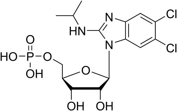 Maribavir monophosphate – CAS 959366-62-2