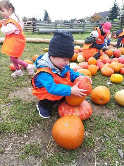 IMG_20191015_111320