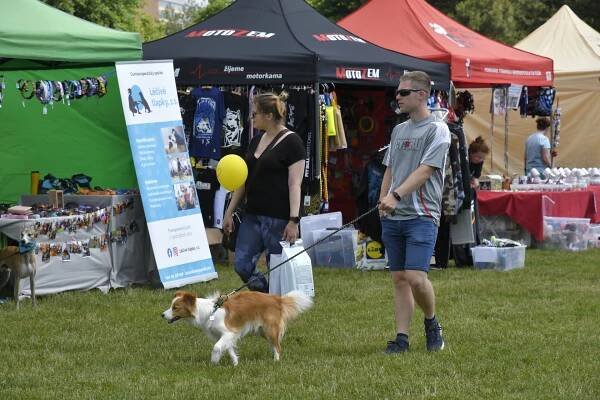 Fotogalerie | PesFest