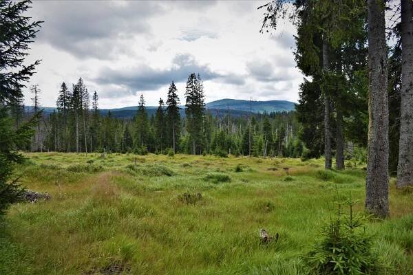 Modrava – Cikánská slať – Březník – Střípky ze zápisníku