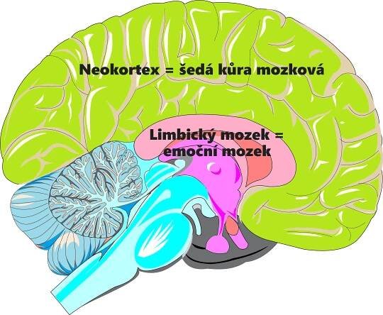 Udělejte si z obav / strachu / nejistoty pohon vpřed