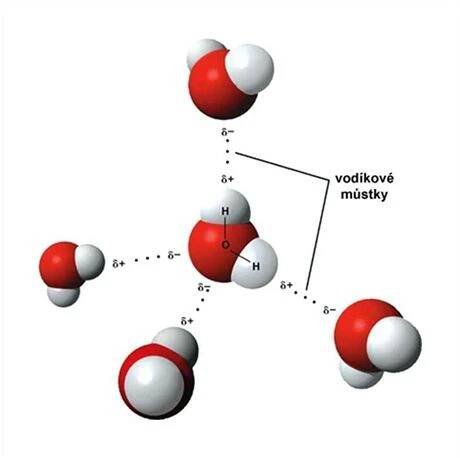 Vodíková vazba – Wikipedie