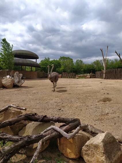 ZOO UL - Co tě žere? Aneb potravní řetězec. - ZŠ a MŠ Ústí nad Labem,