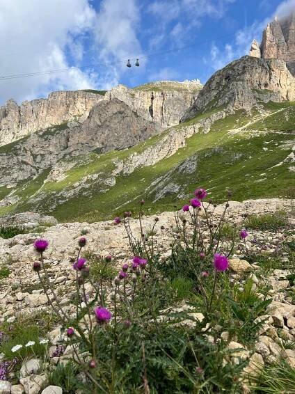 Sechstägige Wanderung auf dem Alta Via 2 in den Dolomiten | RevolutionRace