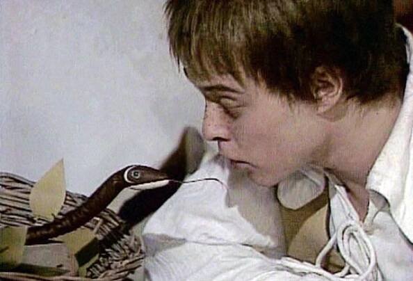 Švec Janek v pohádkové zemi - Z filmu - David Schneider