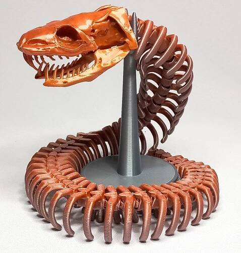 01.jpg ARTICULATED SKELETON SNAKE