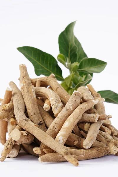 Ashwagandha-Wirkung: So hilft die Schlafbeere beim Schlafen