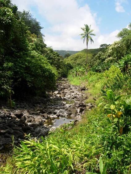 10 Best Things To Do in Maui: Insider Tips from an Ex-Resident — Em's On The Road