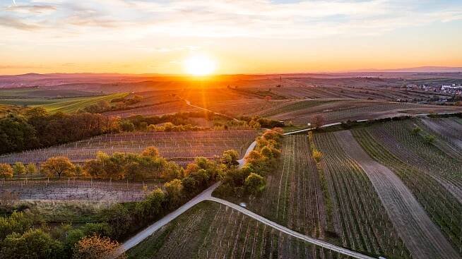 Moravské Toskánsko. Foto © dodala Alena Vorlíčková, se svolením Centrála cestovního ruchu - Jižní Morava