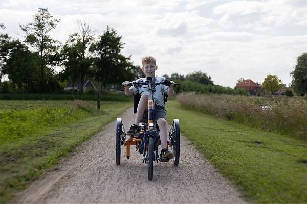 Tricycle for children Van Raam Easy Rider Compact Small