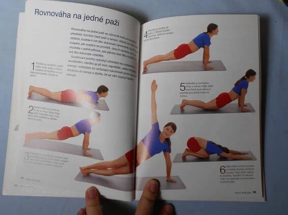 Základy jógy : protahovací cviky, které posilují, dodávají energii a zbavují stresu, 2005