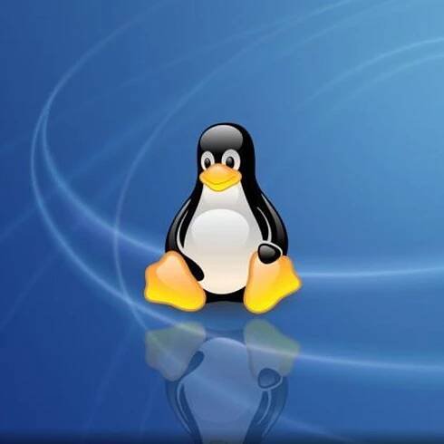 Linus on Linux's 25th birthday