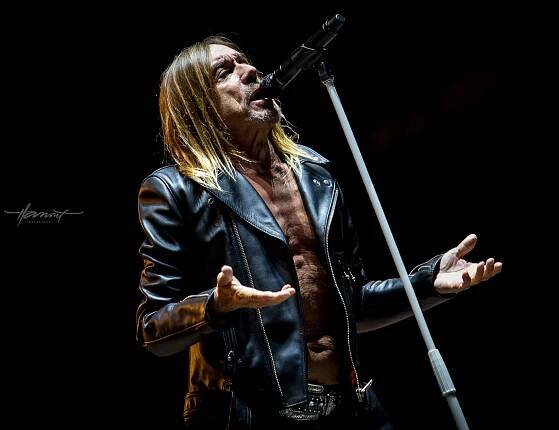 Už mu začína ťahať na 80, no kým stojí na nohách, nemôže prestať. Na Pohodu príde Iggy Pop
