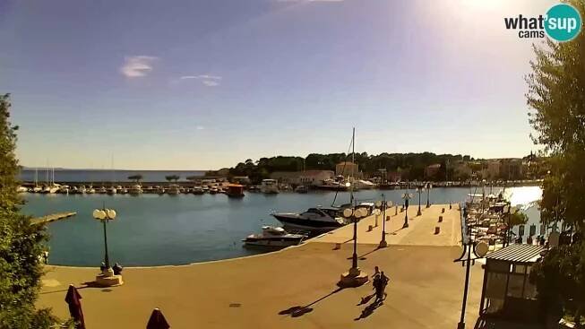 Webcam - Krk (Krk)