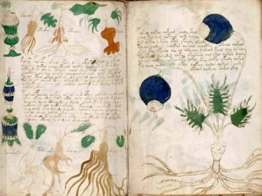 Ukázka z Voynichova rukopisu