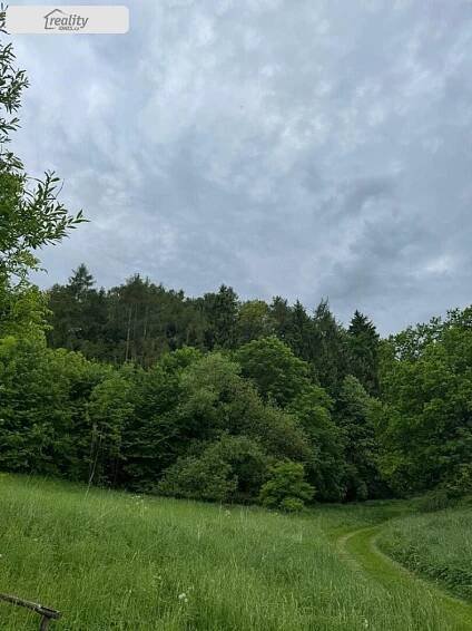 Prodej Pozemek, Heřmanice, okres Havlíčkův Brod