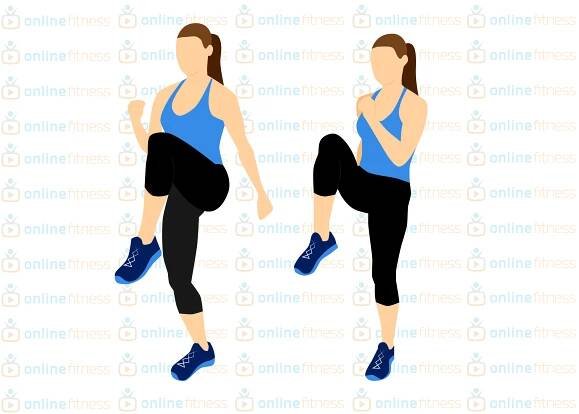 Online Fitness