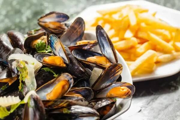 Belgická kuchyně • Restaurant Guide
