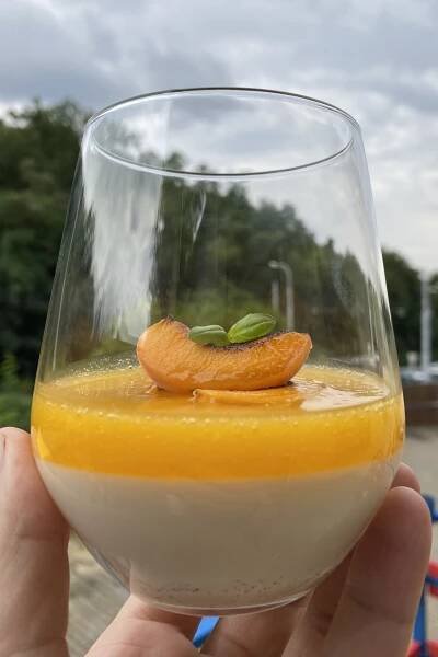 MERUŇKY - Vanilková panna cotta a meruňky - Radek David