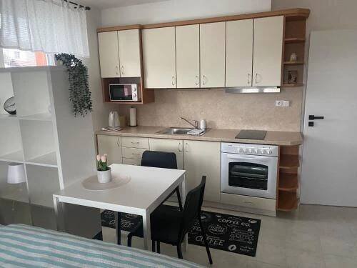 Kuchyň nebo kuchyňský kout v ubytování Apartmán U Onky