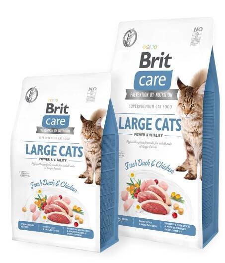 Brit Care Cat GF Large cats Power&Vitality 2kg