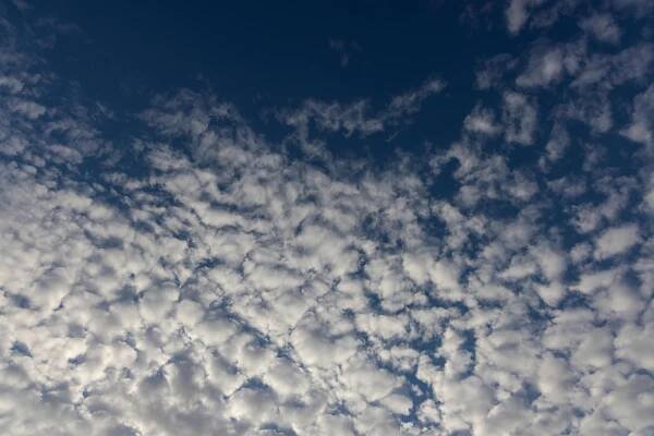 Základová fotografie na téma @ venku, altocumulus, atmosféra, bílá, cirrus, cloudové vzory, cumulonimbus, denní, jasný
