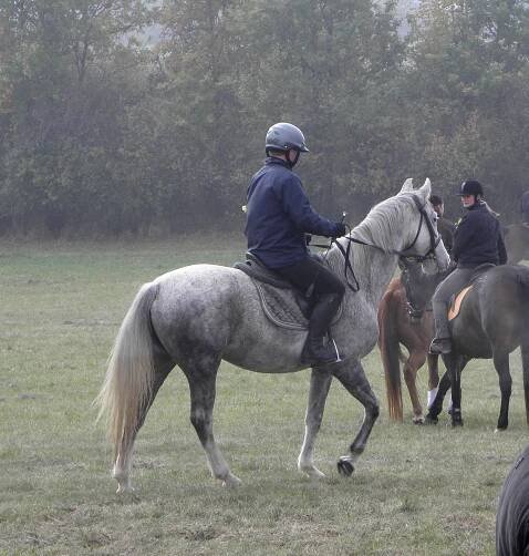 Hubert 2011 – HanyBany