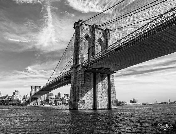 Gina Startup - Photography