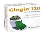 SALUTAS Gingio 120mg tbl.flm.30x120mg
