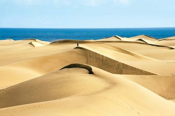 Duny Maspalomas