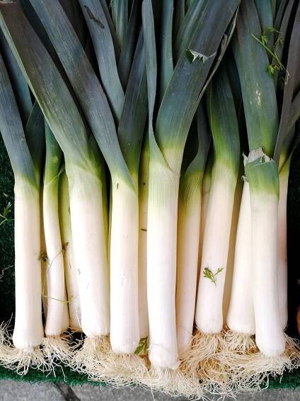 Leeks