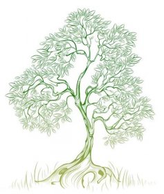 Zelený strom — Ilustrace