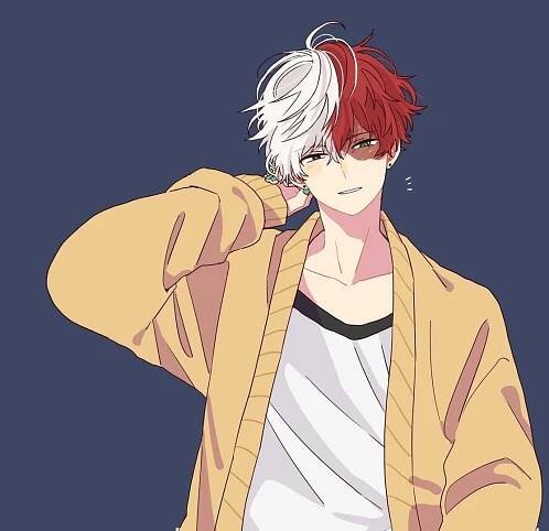 "Incredible Power Unleashed: Todoroki".