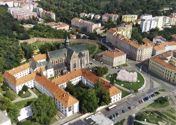VIDEO: Nový parčík u baziliky na Mendlově náměstí v Brně. Vyhrál mandloňový sad