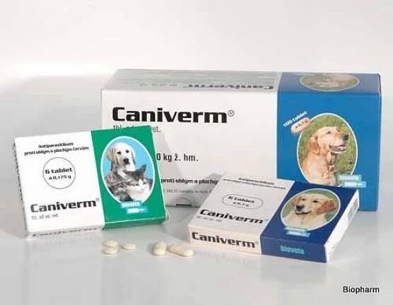 Caniverm forte tbl 100 x 0,7 g