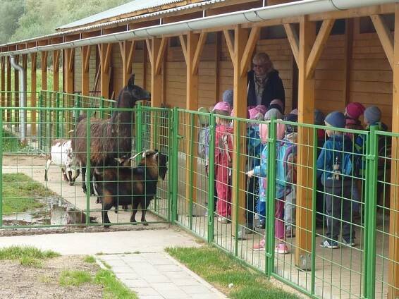 Dětský ranč-III.a VI.třída | Mateřská škola Cihelní Hlučín, příspěvková organizace města Hlučín