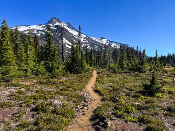 Pacific Crest Trail - Alle Infos zu Planung und Vorbereitung