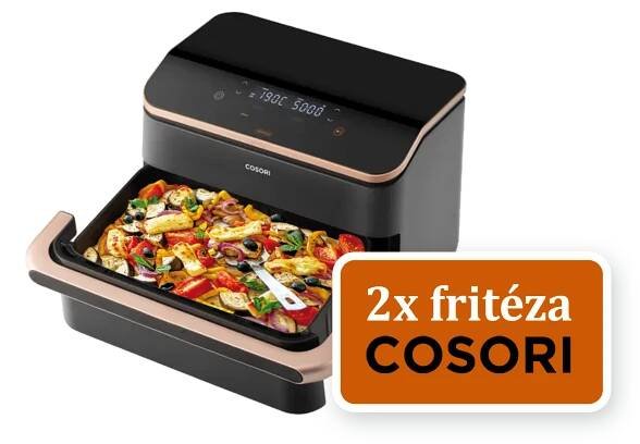 Web_vegisteak_vyhra_soutez_friteza_1
