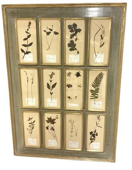 ANTIQUE FRENCH HERBARIUM