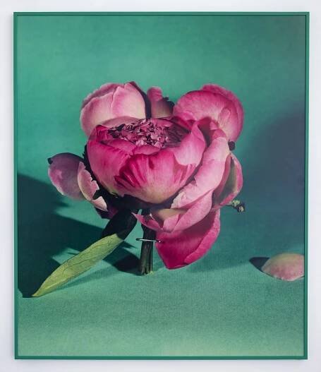 Sara Cwynar at COOPER COLE – Art Viewer