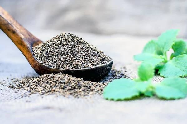 ajwain listy