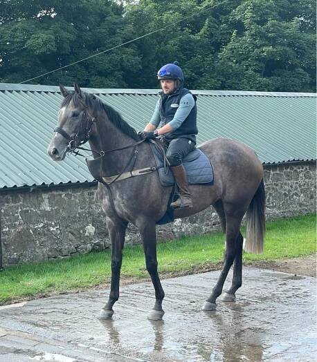 Charm Offensive wins at Ayr and a busy day tomorrow at Kelso (weather permitting!) – Kinneston | Nick Alexander