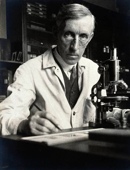 James Peter Hill
