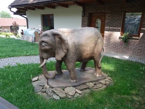 a slůně