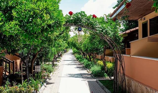 Hotel Özlem Garden: fotografie vybavení exteriérů a interiérů ubytování.