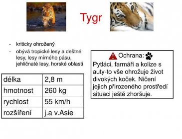 PPT - Ohrožené druhy zvířat PowerPoint Presentation, free download - ID:4700220