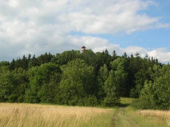 Rozhledna Strážný vrch zdálky